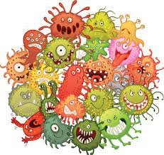 bacteries buccales perte de dents